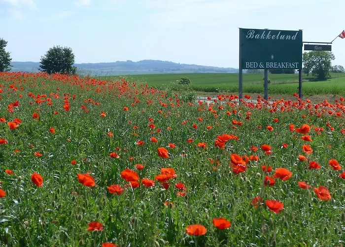 Bakkelund Frühstückspension Borre